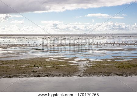 shoreline of Ameland Island with view over the wadden sea with clouds and tourmented sky reflecting in water at dawn