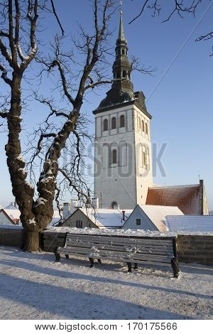 St. Nicholas' Church Spire viewed from the park with snow and a dead tree,Tallinn Estonia