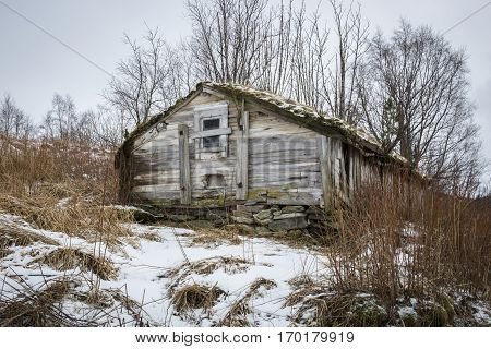 Norwegian landscape in the winter with snow and a old little wooden barn Nordland Norway;