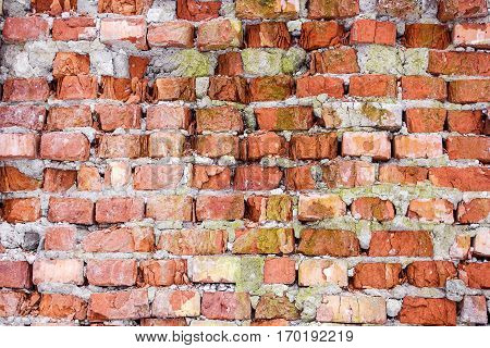red brick wall texture grunge background with vignetted corners to interior design