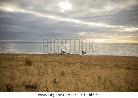 group of people wandering on the beach at sunset by a cloudy winter day