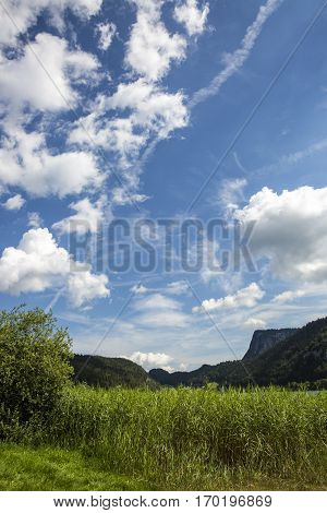 summer landscape of Brenet lake near Le pont canton de Vaud Switzerland
