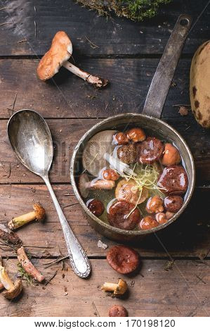Mushrooms Soup