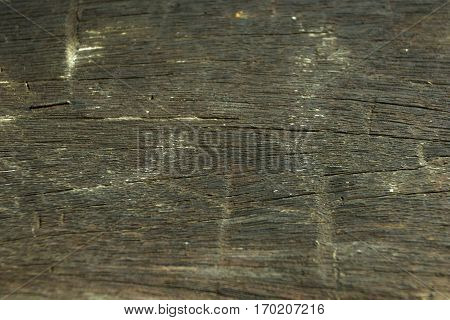 Texture Of  Wood Use As Natural Background