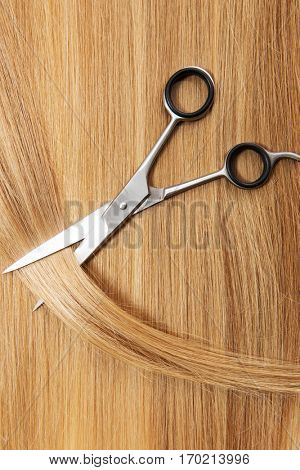 Hairdresser accessories for hair, isolated.