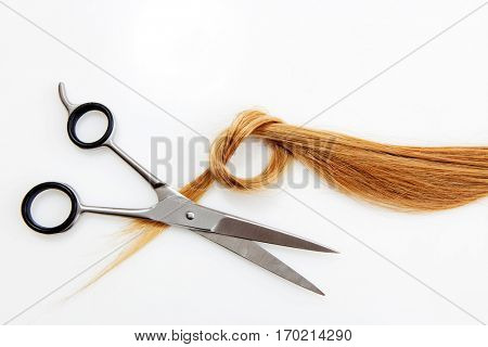 Hairdressing scissors with blonde hair. Isolated.