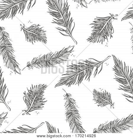Seamless Pattern With Feathers Gray On A White Background. Vintage Artistically Hand Drawn Stylized