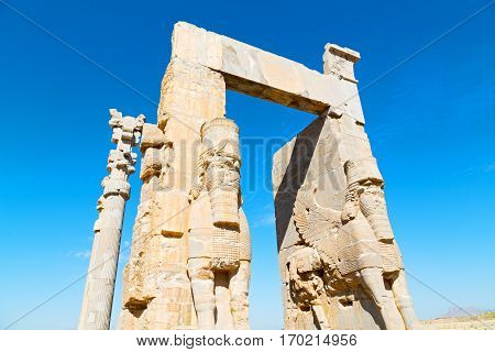 In Iran     Persepolis