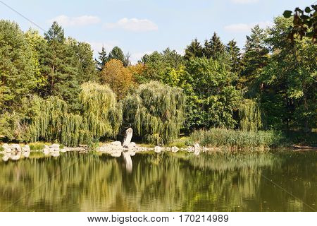 Willow trees at the lake with reflection, central park in Edinet city, north of republic of Moldova