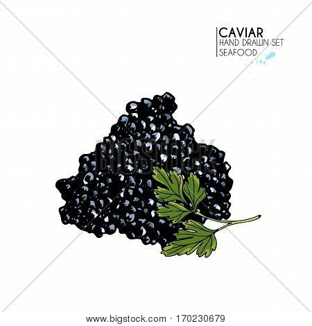 Vector hand drawn set of seafood icons. Isolated caviar. Engraved colored art. Delicious marine food menu objects. Use for restaurant meal market store menu party decoration other design