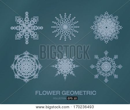 flower pattern set  on background vector illustration