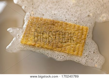 A dirty kitchen sponge floating in dirty dishwater with bubbles.