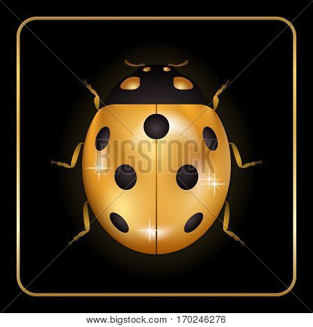 Ladybug Gold Insect Small Icon
