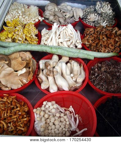 12 different species of fungi on the counter of a small Chinese restaurant Wuyishan China
