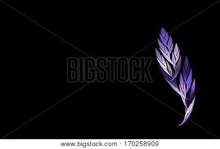 violet fractal leaf on a black background