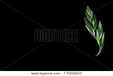 an abstract fractal leaf and a feather