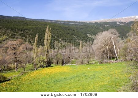 Kataloński-Pyrenees