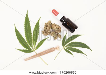 Cannabis sativa leaves THC oil flower buds and rolled weed joint.