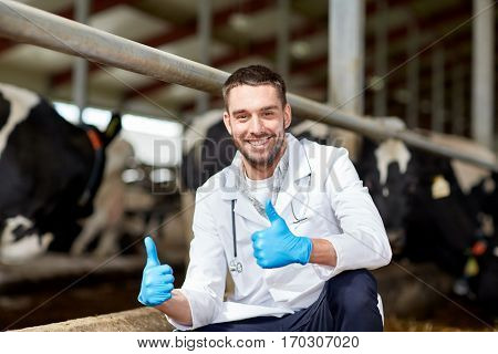 agriculture industry, farming, people and animal husbandry concept - veterinarian or doctor and cows in cowshed on dairy farm showing thumbs up hand sign