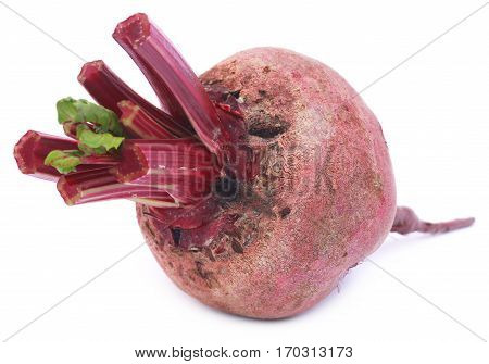 Closeup of Fresh Beet over white background