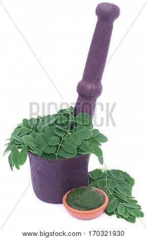 Edible moringa leaves in a vintage mortar with ground paste in a pottery over white background