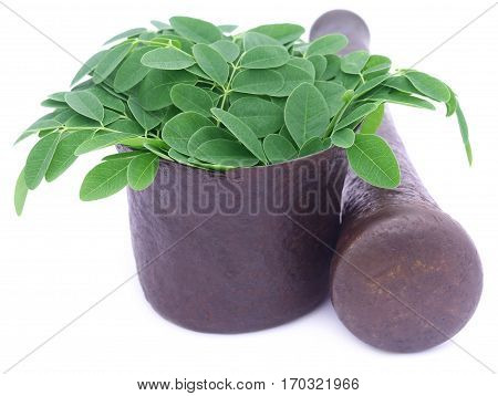 Edible moringa leaves in a vintage mortar over white background