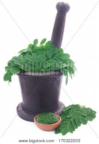 Edible moringa leaves in a vintage mortar with ground paste over white background