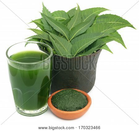 Medicinal neem leaves with extract and ground paste over white background