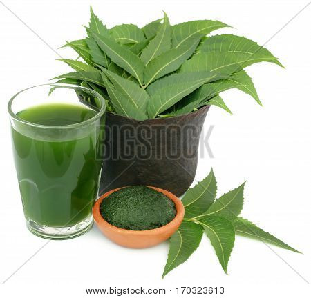 Medicinal neem leaves with extract and ground paste over white background