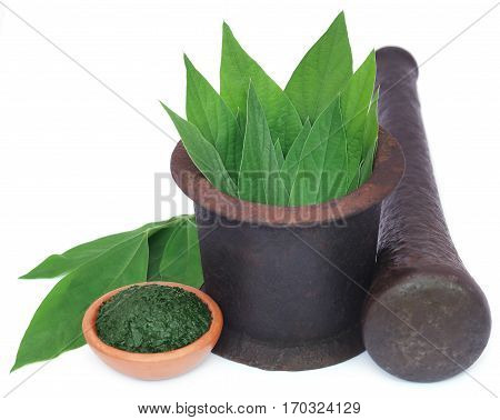 Medicinal pigeon pea leaves with ground paste in a vintage mortar over white background