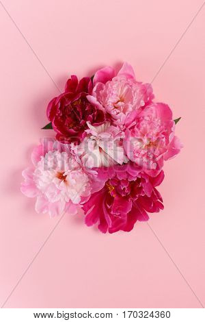 nice peonies