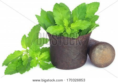 Holy basil or tulsi leaves in a vintage mortar over white background