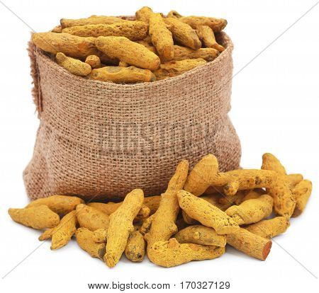 Turmeric in a sack over white background