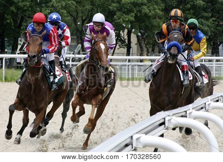 Horse race for the traditional prize Anilina in Pyatigorsk,the largest in Russia.