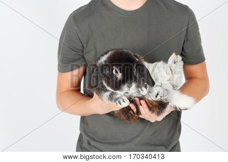 Boy teenager in grey holds funny rabbit in white studio, noface