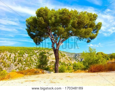 Calanque between Marseille and Cassis, Provence France