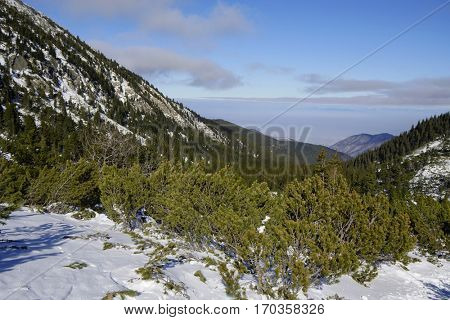 Winter landscape in National Park Retezat, Romania