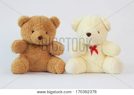 Two teddy bears on a white background.