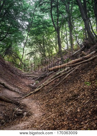 Fox Ravine or 
