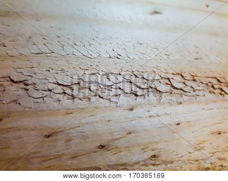 Light ocher brown painted old wood background.