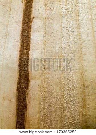 Light ocher brown painted old wood background.
