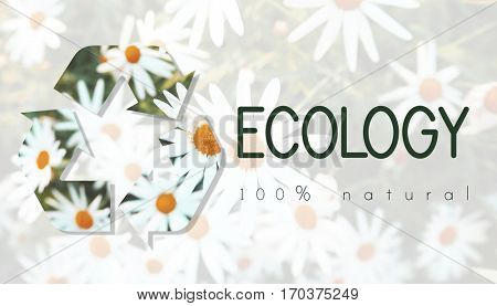 Recycle Environmental Conservation Nature Ecology