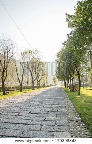 block stone walkway inside large garden near mountain