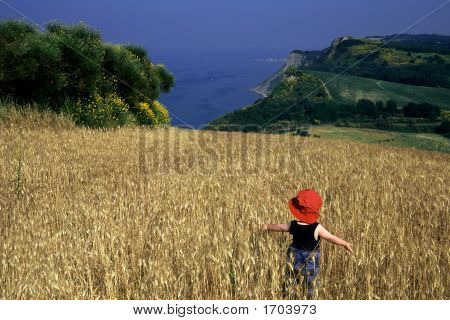 Paesaggio di estate