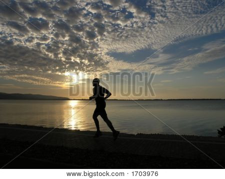 Corridore