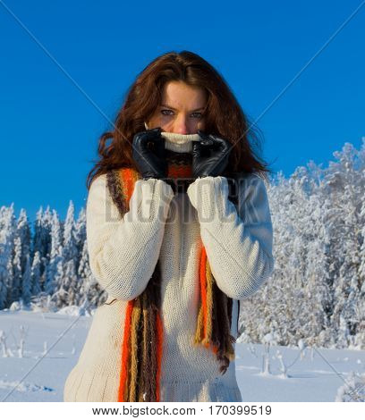 Wintry Aftrenoon Beauty 