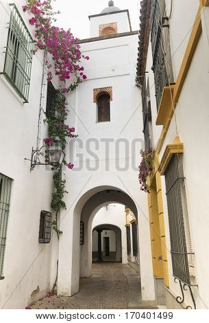 Cordoba (Andalucia Spain): old typical street in the Juderia