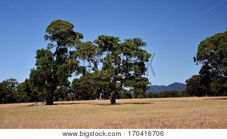 The Grampians range is majestic country in western Victorian Australia.