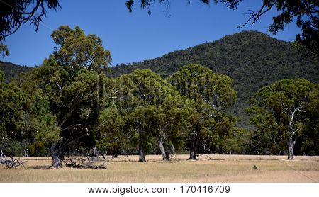 The Grampians range is majestic country in western Victorian Australia.