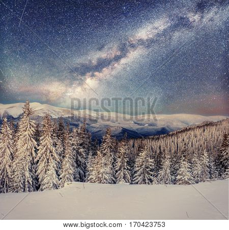 Dairy  in the winter woods. Carpathians Ukraine Europe